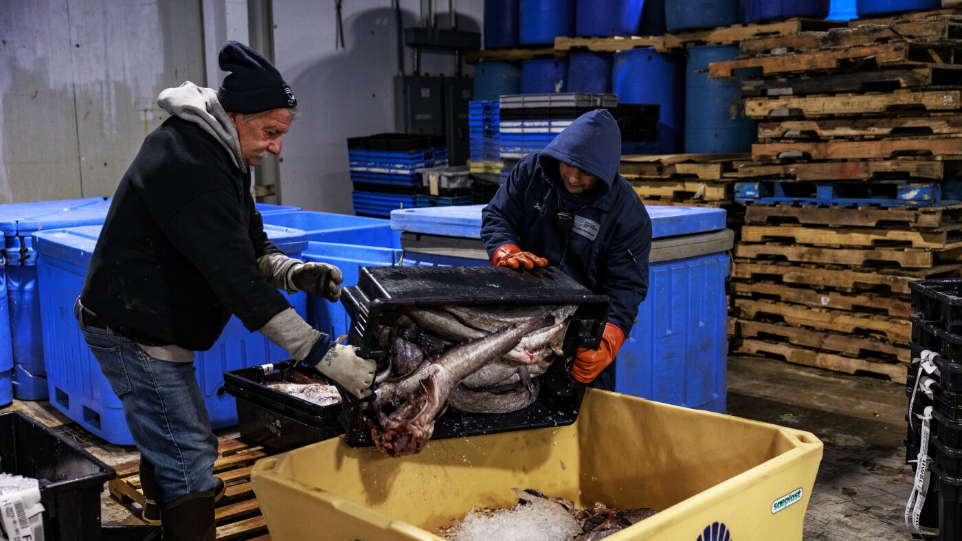 A pandemic-era program keeps Maine fishing industry afloat : NPR